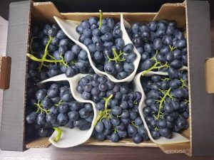 table grapes north macedonia