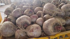 beetroot north macedonia