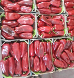 fresh red pepper kapia - north macedonia