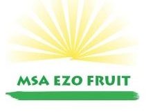 Msa Ezo Fruit